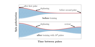 Electron Spin Polarization Revival under Pulsed Excitation A two-part diagram which shows the electron spin polarization revival after training with pulsed optical excitation.